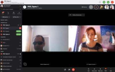 Online educational accessibility testing session on Skype