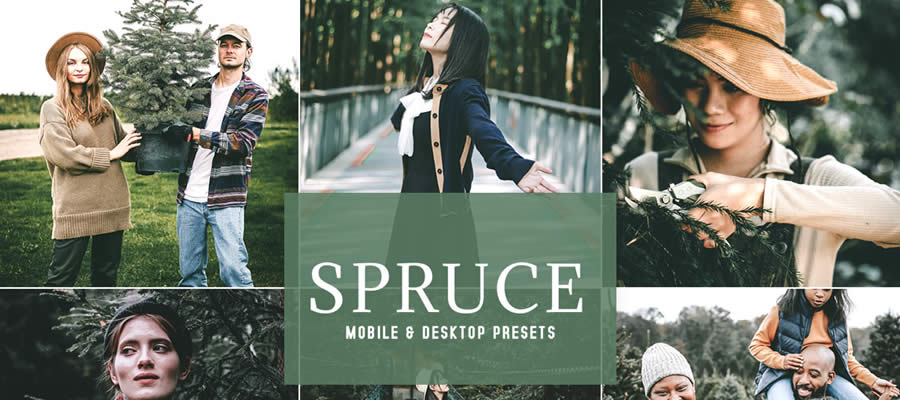 Spruce free lightroom mobile preset dng xmp