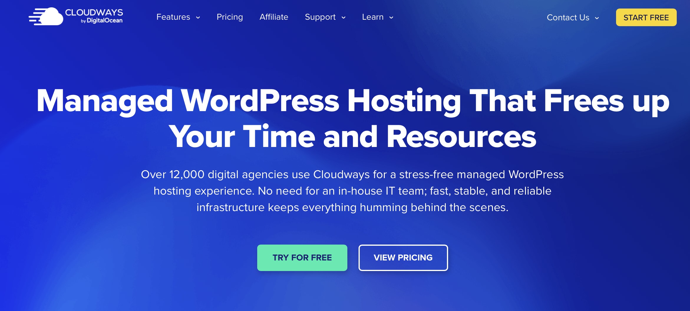 Cloudways WordPress hosting for agencies.