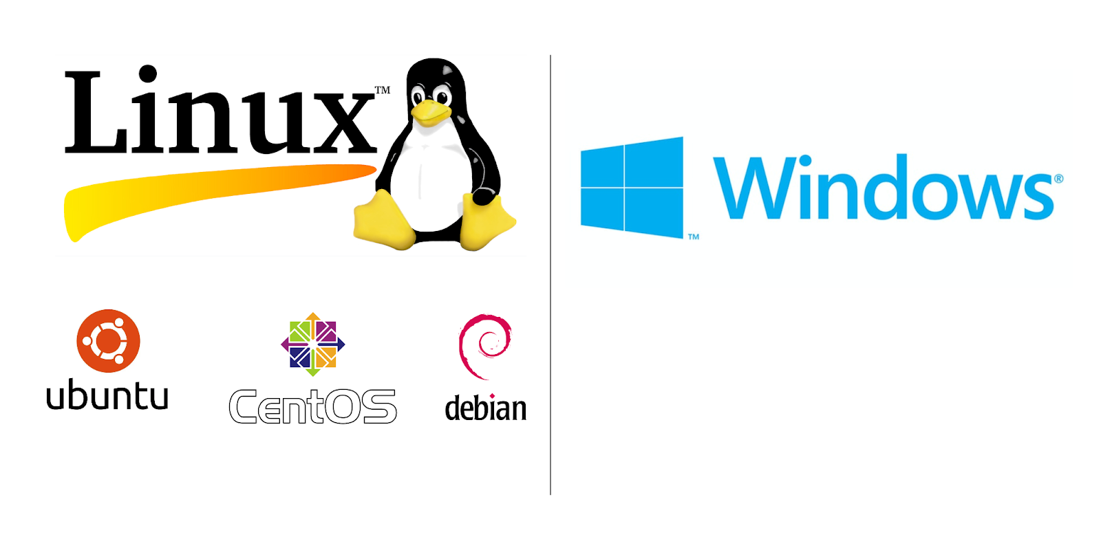 Windows and Linux-based OSs that you can use to set up your VPS.