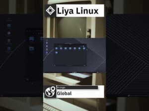 Liya Linux Quick Overview #shorts