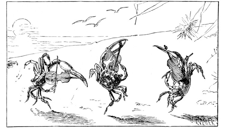 Fiddling crabs in an illustration from 'When Life is Young: a collection of verse for boys and girls'.