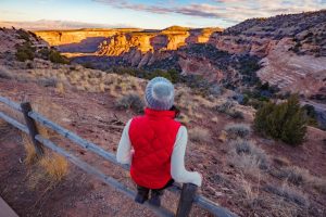 Don't Leave Colorado without Driving Through Colorado National Monument