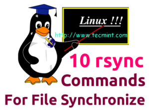 16 Practical Examples of Rsync Command in Linux