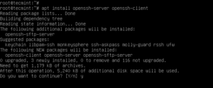 How to Install and Configure OpenSSH Server In Linux