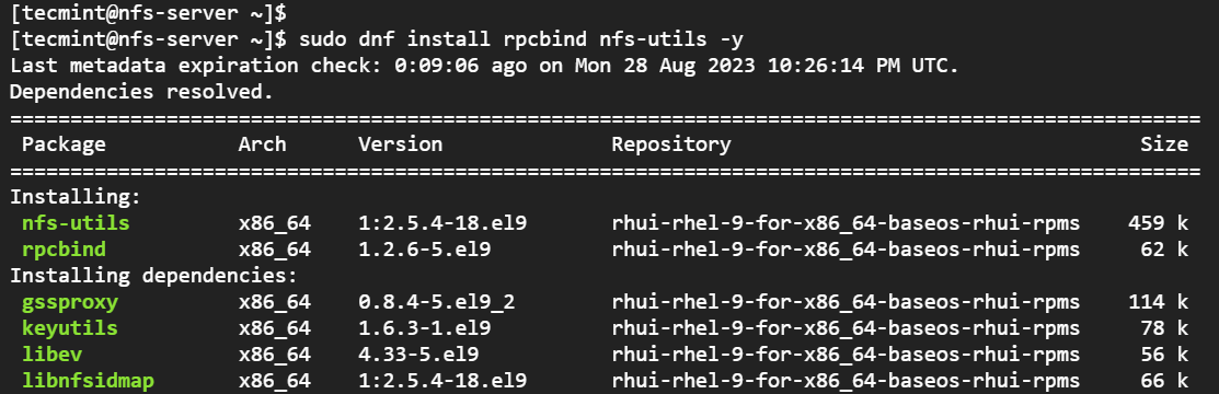 How to Install NFS Server and Client on RHEL Distributions