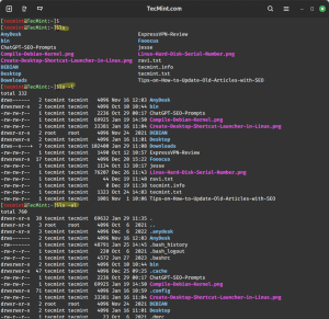 20 Must-Know Terminal Commands for New Linux Users