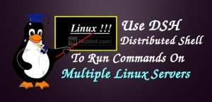 DSH (Dancer's Shell) - Run Commands on Multiple Linux Hosts