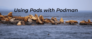 Using pods with Podman on Fedora