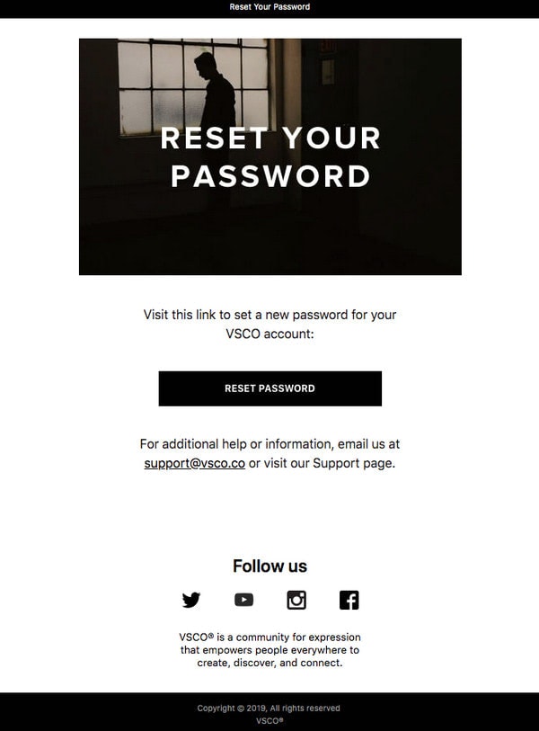 Password Reset Newsletter Example from VSCO