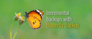 Incremental backup with Butterfly Backup