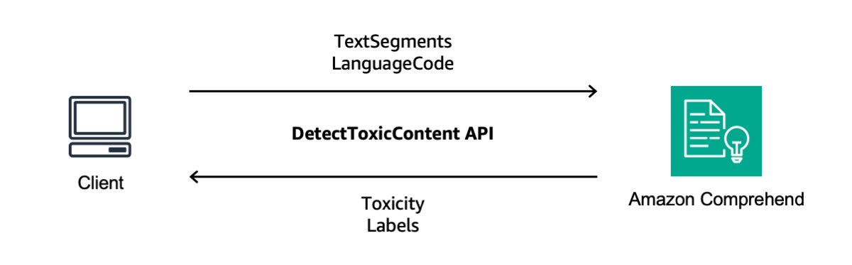 Amazon Comprehend toxicity detection API